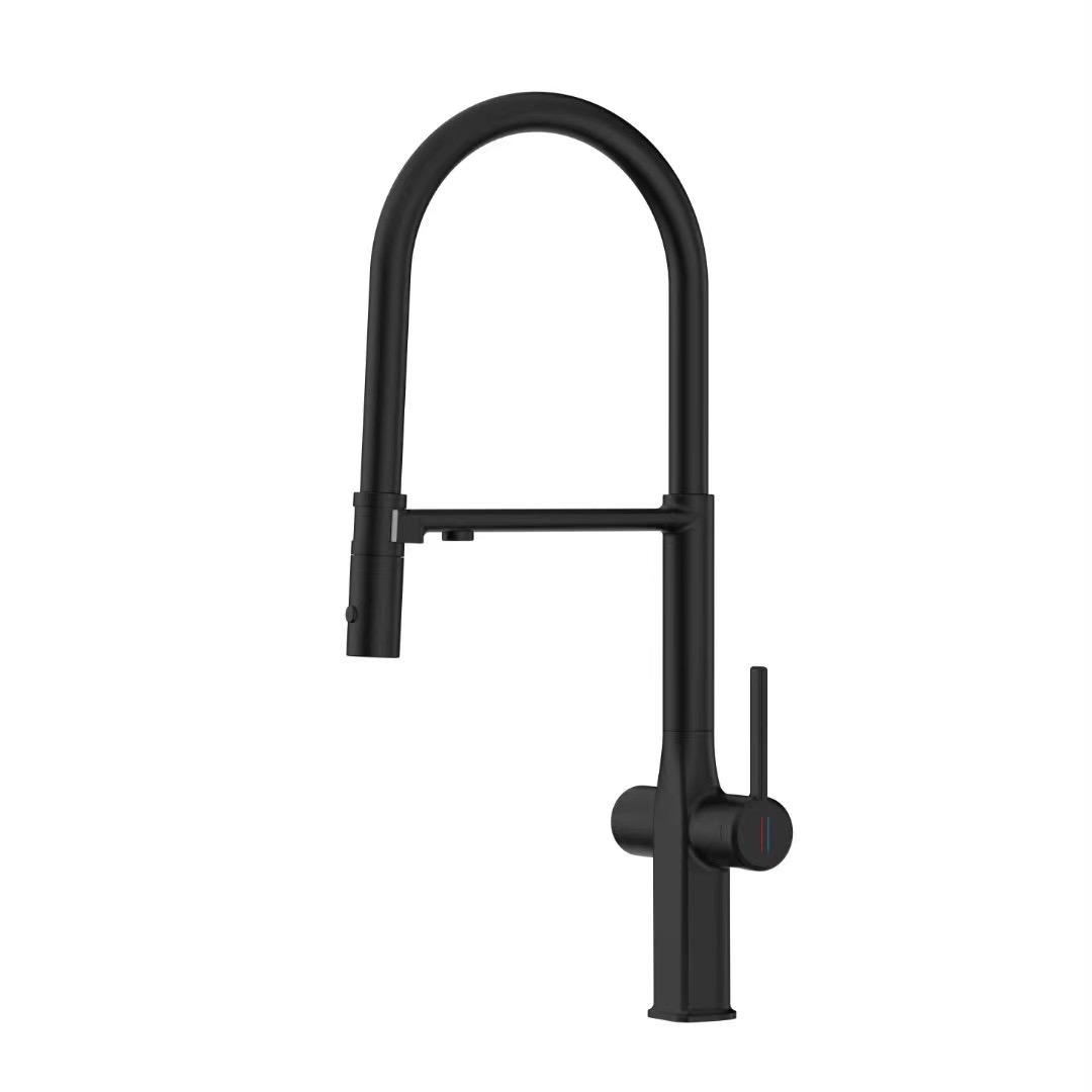 46 Смеситель для кухни + РОДНИК А3746-1 Люкс (Черный)