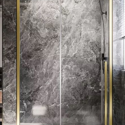 Душевая дверь Veconi PTD-30G арт. PTD30-G-120-01-C4  стекло прозр./8 мм